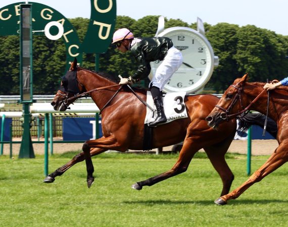 18738738 804664486359411 1336216304693399992 o