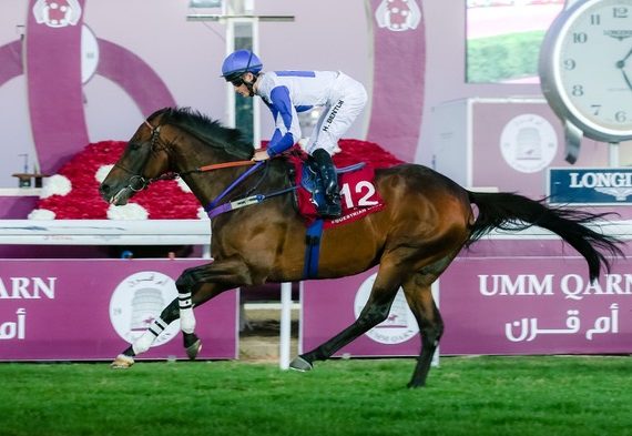 Los ojos azules11 01 2018