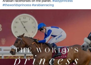 "Lady Princess is, without doubt, one of the most exciting Arabian racehorses on the planet"dixit the Arabian Jockey Club